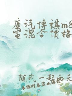 广汽传祺m8油电混合价格
