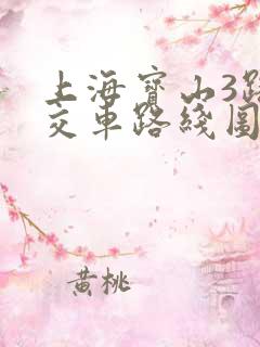 上海宝山3路公交车路线图