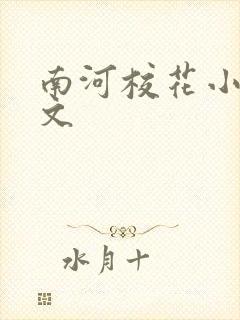 南河校花小说全文