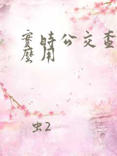 实时公交查询怎么用