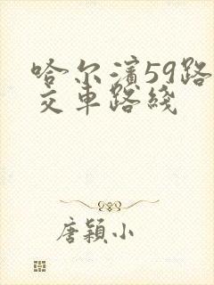 哈尔滨59路公交车路线