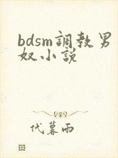 bdsm调教男奴小说