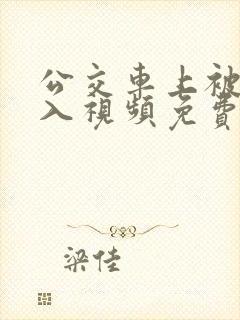 公交车上被人进入视频免费进入