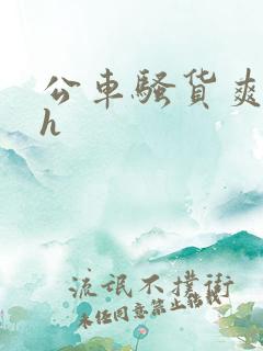 公车骚货爽死你h