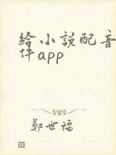 给小说配音的软件app
