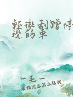 轻微刮蹭停在路边的车