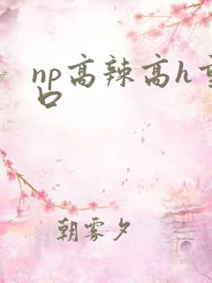 np高辣高h重口