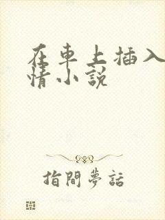 在车上插入的激情小说
