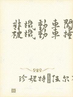 非机动车闯红灯被机动车撞死谁的责任