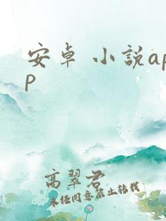 安卓 小说app