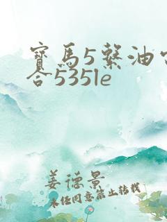 宝马5系油电混合535le