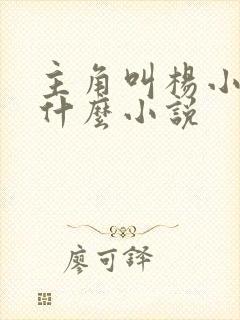 主角叫杨小天是什么小说
