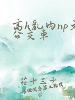 高h乱肉np文公交车