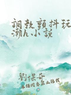 调教颤抖玩弄高潮h小说 调教颤抖玩弄高潮h小说