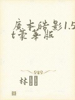 广本皓影1.5t豪华版
