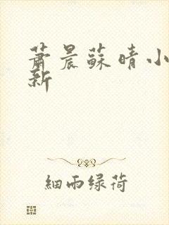 萧晨苏晴小说最新