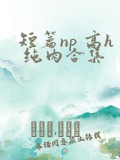 短篇np 高h 纯肉合集