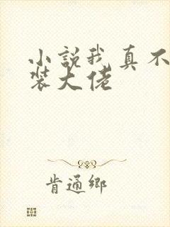 小说我真不是女装大佬