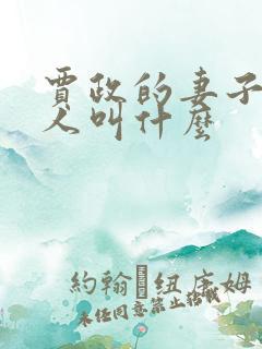 贾政的妻子王夫人叫什么