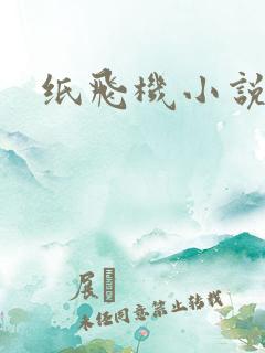 纸飞机小说