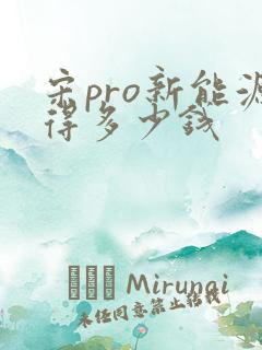 宋pro新能源得多少钱