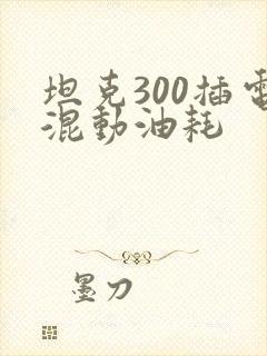 坦克300插电混动油耗