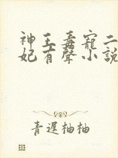神王毒宠二嫁王妃有声小说