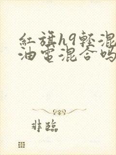 红旗h9轻混是油电混合吗