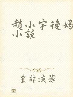 赵小宇后妈晴姨小说