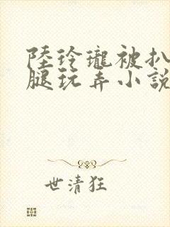 陆玲珑被扒开双腿玩弄小说免费阅读
