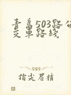 青岛503路公交车路线