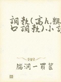 调教(高h,粗口调教)小说