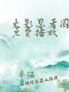 火影忍者国语版免费播放