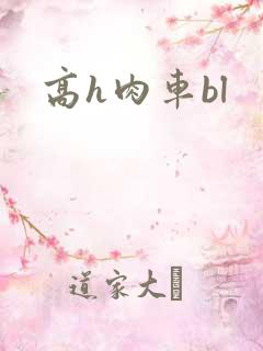 高h肉车bl