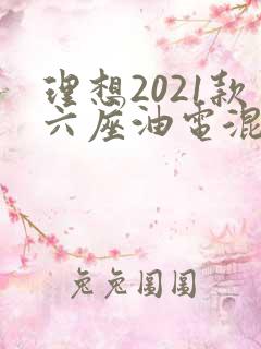 理想2021款六座油电混合