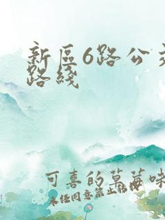 新区6路公交车路线