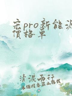 宋pro新能源价格单