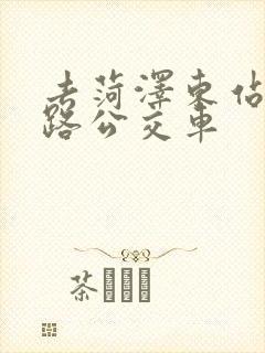 去菏泽东站坐几路公交车