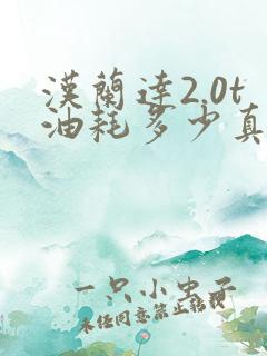 汉兰达2.0t油耗多少真实油耗