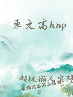车文高hnp 车文高hnp