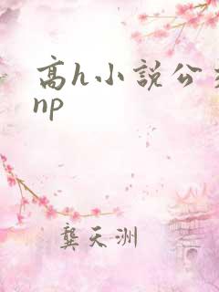 高h小说公交车np