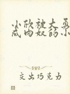 小欣被大勇调教成肉奴的小说叫什么