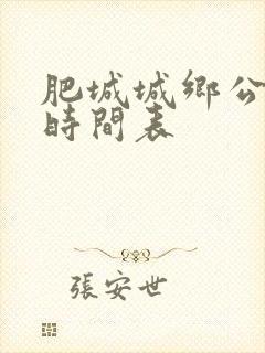 肥城城乡公交车时间表