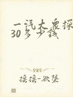 一汽大众探岳330多少钱