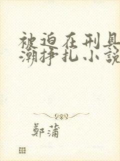 被迫在刑具上高潮挣扎小说