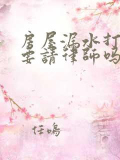 房屋漏水打官司要请律师吗