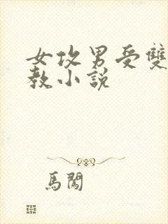 女攻男受双性调教小说