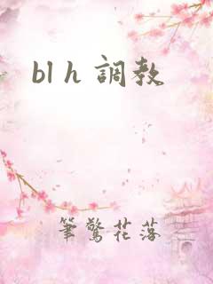 bl h 调教