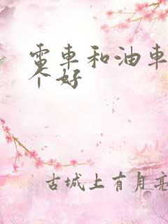 电车和油车买哪个好