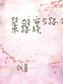 楚雄市5路公交车路线